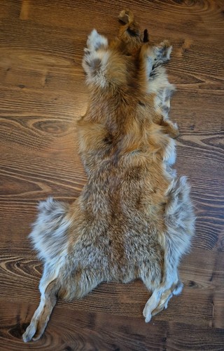 Echte pelze fuchs echt - pelze,